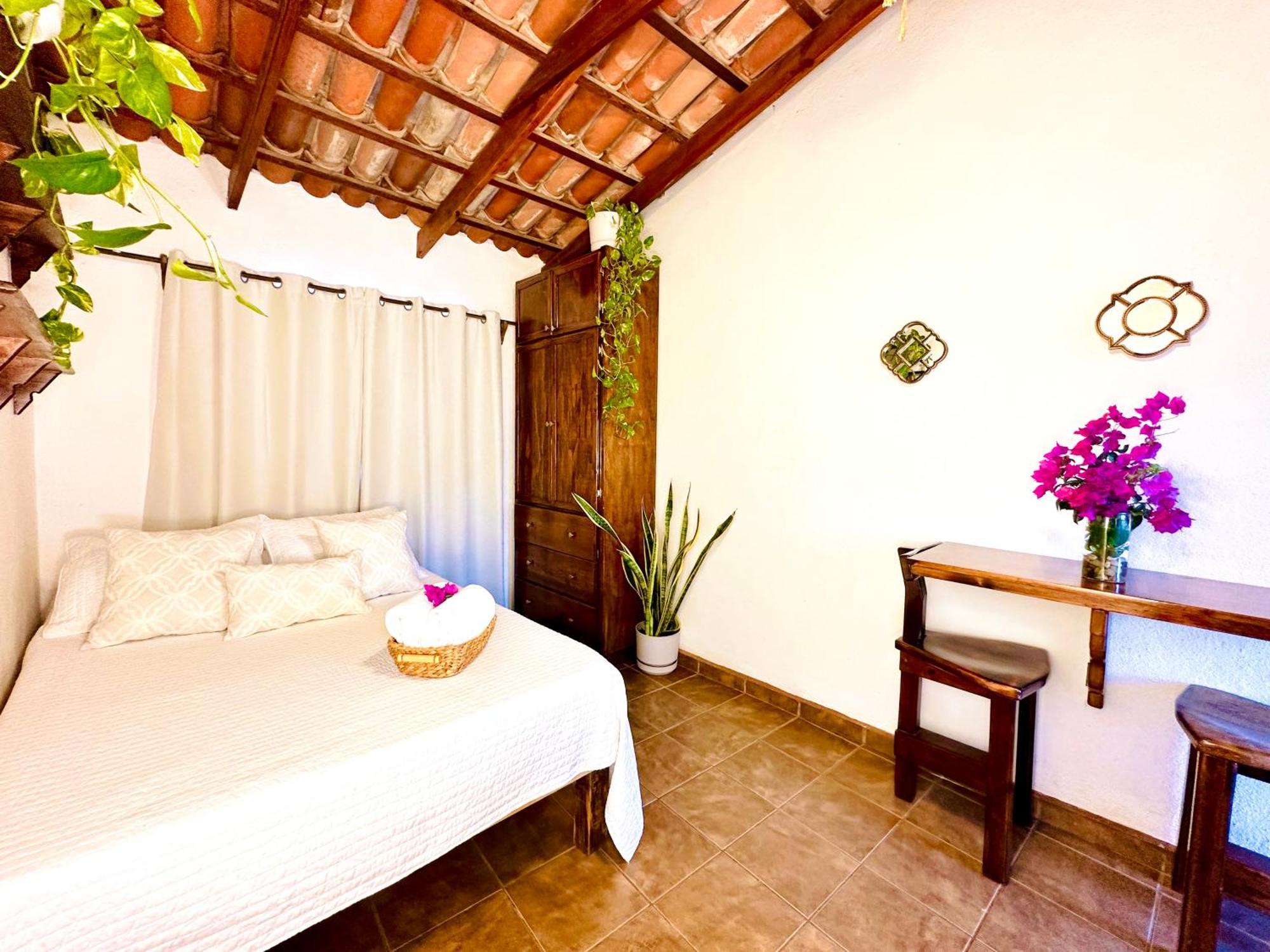 Cabo Bohemia Tropical Garden Studios Κάβο σαν Λούκας Εξωτερικό φωτογραφία